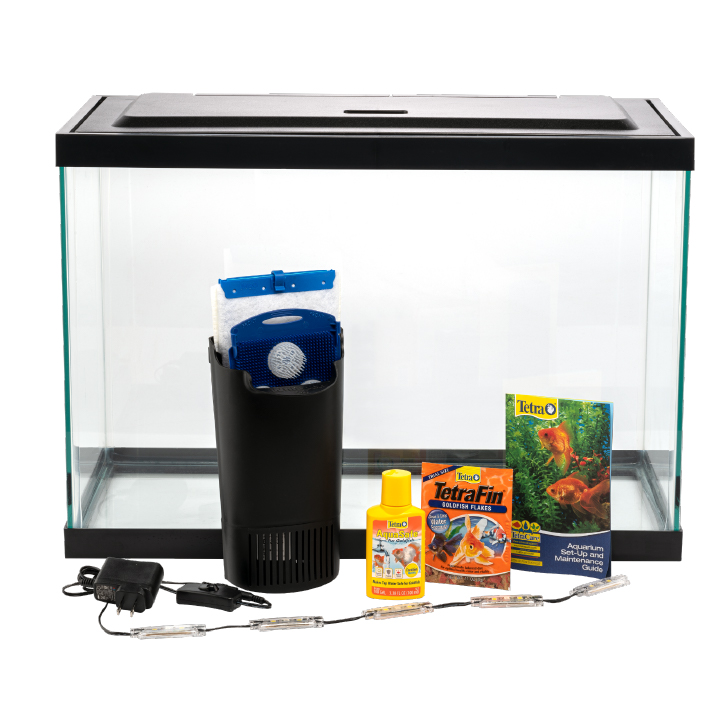 Goldfish in 20 top gallon